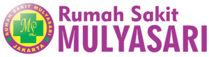 RS Mulyasari Jakarta